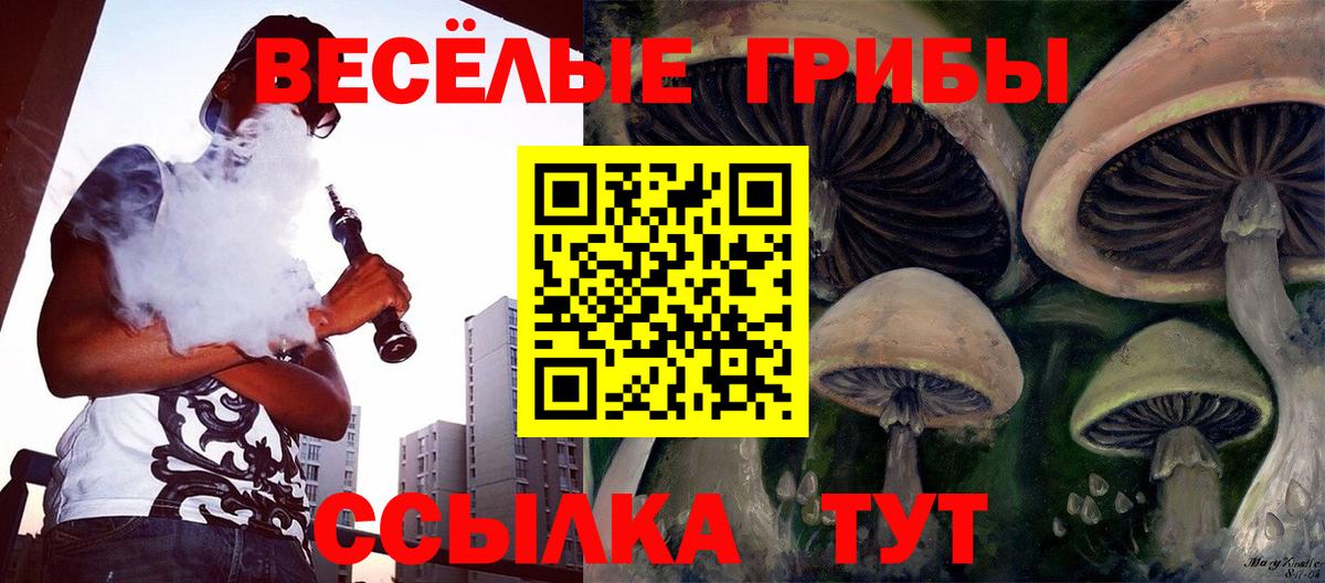 Красноармейск  Галлюциногенные грибы прущие грибы  Вход с VPN  как найти   Псилоцибиновые грибы Cubensis 